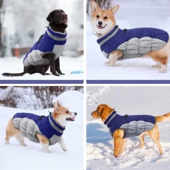 Downypaws Colliers, Laisses Et Vêtements | - Chaud manteau protections pour chien,manteau épais en coton coupe-vent pour chien