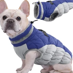 Downypaws Colliers, Laisses Et Vêtements | - Chaud manteau protections pour chien,manteau épais en coton coupe-vent pour chien