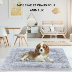 Downypaws - 75*50cm coussin de lit pour chien,réversible,velours côtelé Online