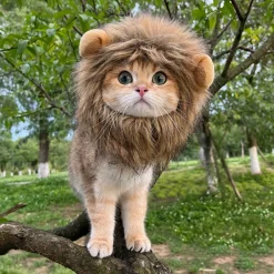 Downypaws - Coiffe de chapeau de lion mignon pour chiens et chats Discount