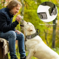 Downypaws - Collier de chien tactiqu Online