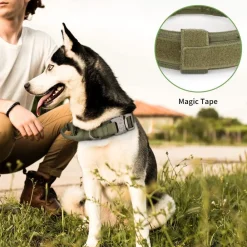Downypaws - Collier de chien tactiqu New