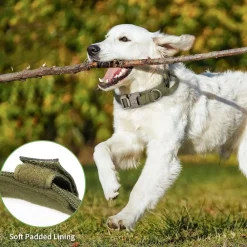 Downypaws - Collier de chien tactiqu New