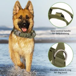 Downypaws - Collier de chien tactiqu New