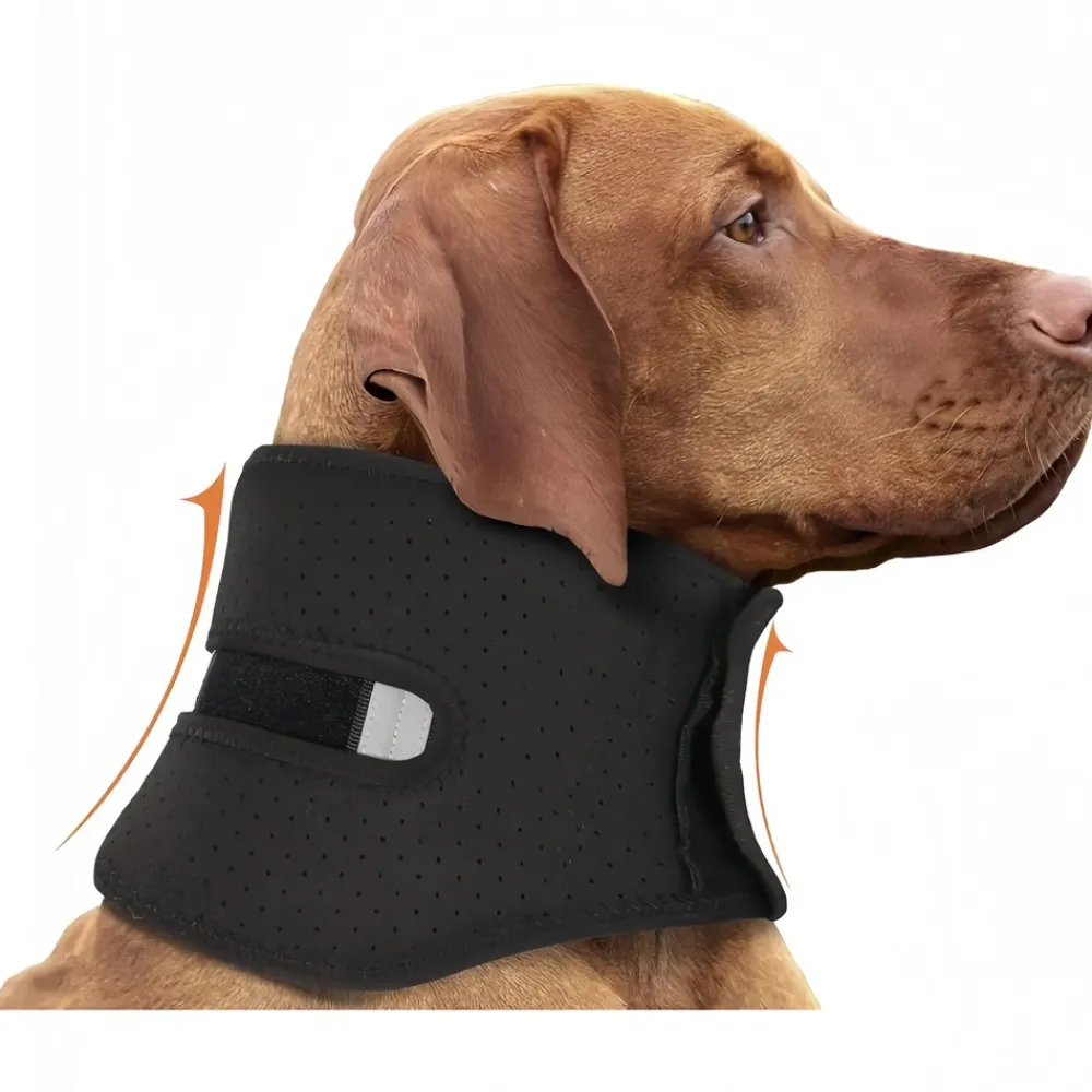 Downypaws - Collier de soutien post - opératoire respirant et solide avec protection anti - traction pour chien Online