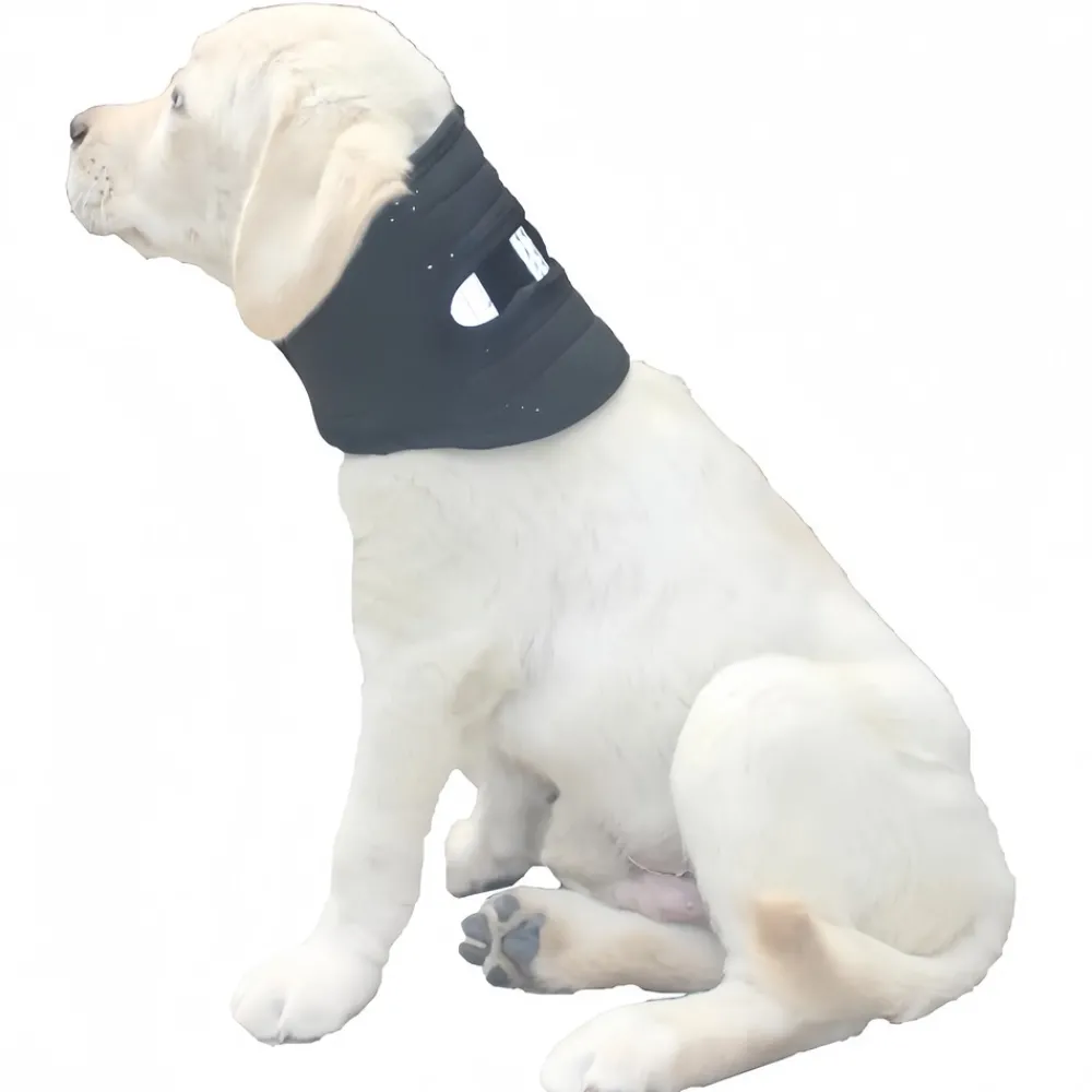 Downypaws - Collier de soutien post - opératoire respirant et solide avec protection anti - traction pour chien Online