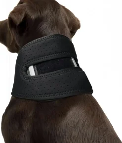 Downypaws - Collier de soutien post - opératoire respirant et solide avec protection anti - traction pour chien Online