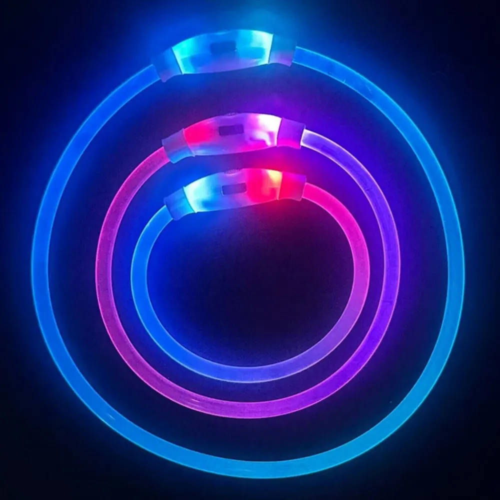 Downypaws - Collier lumineux rechargeable pour chien taille s : 30 cm de circonférence Online
