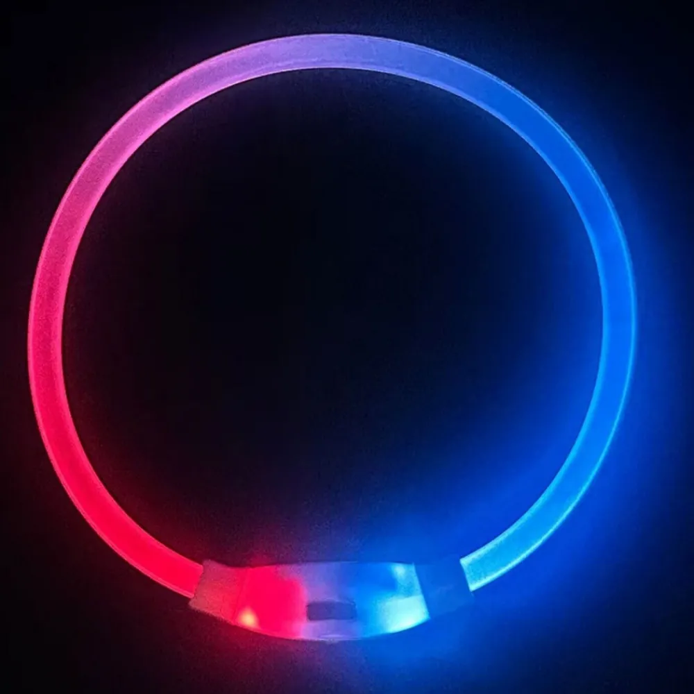 Downypaws - Collier lumineux rechargeable pour chien taille s : 30 cm de circonférence Online