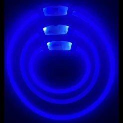 Downypaws Colliers, Laisses Et Vêtements | - Collier lumineux rechargeable pour chien bleu taille l, circonférence 70 cm