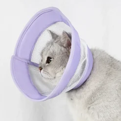 Downypaws - Collier pour chat roland violet Online