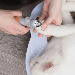 Downypaws - Coupe - griffes professionnel avec lumière led pour chiens et chats Best