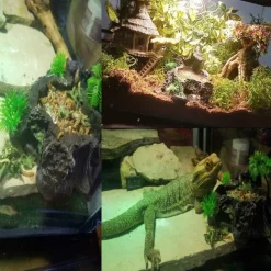 Downypaws - Décoration d'aquarium pour reptiles Outlet