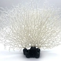 Downypaws Plantes Et Décoration | - Décoration en corail en silicone pour aquarium, arbre de corail blanc