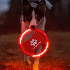 Downypaws Jouets | - Discovolant lumineux rechargeable avec led pour chien feu rouge