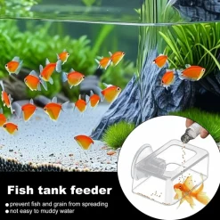 Downypaws - Distributeur de nourriture automatique pour aquarium Online