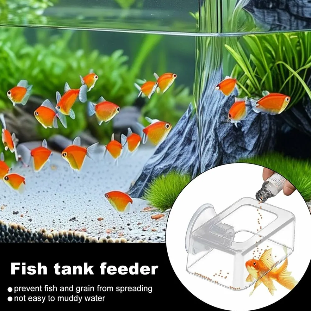 Downypaws - Distributeur de nourriture automatique pour aquarium Online