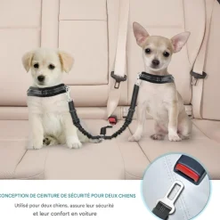 Downypaws - Double 2 chiensceintures de sécurité Sale