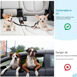 Downypaws - Double 2 chiensceintures de sécurité Sale