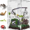 Downypaws Terrariums, Vivariums Et Accessoires | - Enclos en acrylique pour araignées sauteuses et terrarium ventilé adapté à tous les reptiles