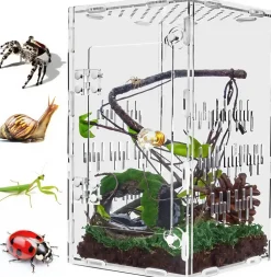 Downypaws Terrariums, Vivariums Et Accessoires | - Enclos en acrylique pour araignées sauteuses et terrarium ventilé adapté à tous les reptiles