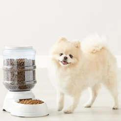Downypaws - Fdistributeur automatique pour chiens et chats-gris 32*18*30cm Sale