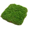 Downypaws Plantes Artificielles | - Feuille de mousse artificielle en peluche 20×20 cm*2 pièces
