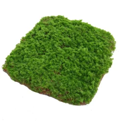 Downypaws Plantes Artificielles | - Feuille de mousse artificielle en peluche 30×30 cm