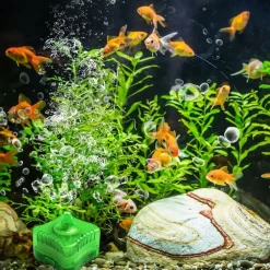 Downypaws Pompes, Filtres, Chauffages Et Accessoires | - Filtration éponge multifonction pour nano aquarium