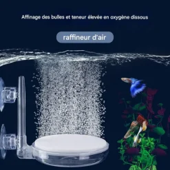 Downypaws Pompes, Filtres, Chauffages Et Accessoires | - Filtre à air-accessoires d'aquarium-filtre d'aquarium avec ventouse