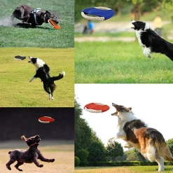 Downypaws Jouets | - Frisbees pour chiens