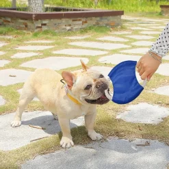 Downypaws Jouets | - Frisbees pour chiens