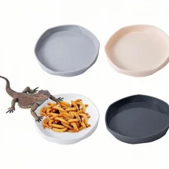 Downypaws - Gamelles à eau - lot de 4, motif dragon barbu, peu profond et plat, plastique Outlet