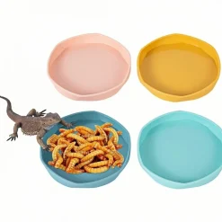 Downypaws Terrariums, Vivariums Et Accessoires | - Gamelles à eau - lot de 4, motif dragon barbu, peu profond et plat, plastique