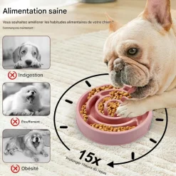 Downypaws Gamelles Et Autres Accessoires | - Gamelles pour chien