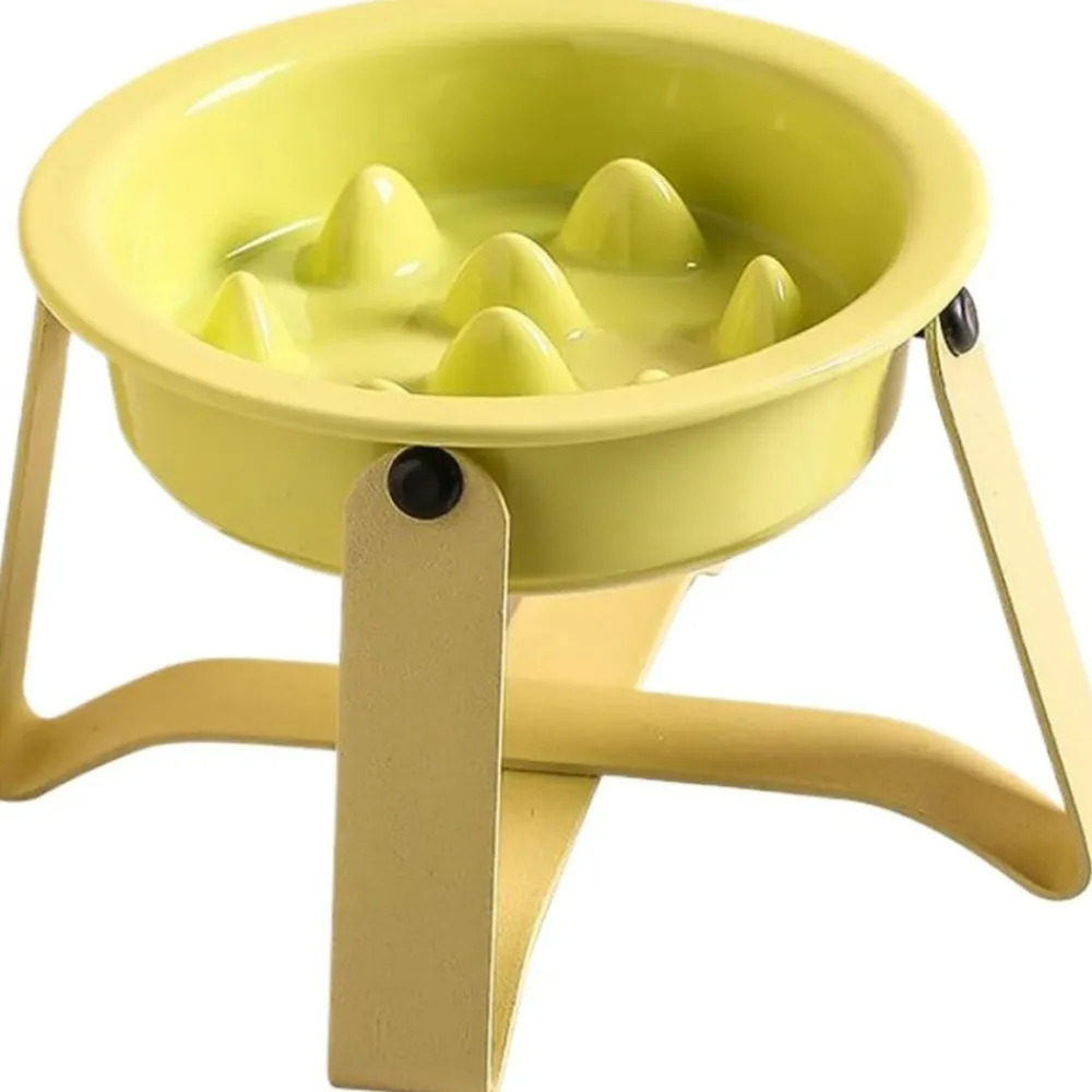 Downypaws - Gamelles slow food pour chats et chiens Discount