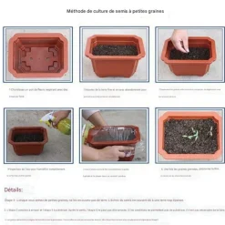 Downypaws Graines De Fleurs | - Graines de fleurs orchidée à rayures rouge 100 grains * 5 sachets