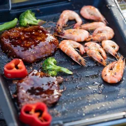 Downypaws Barbecues Et Planchas | - Grille à barbecue anti - adhésive de 29x25 cm