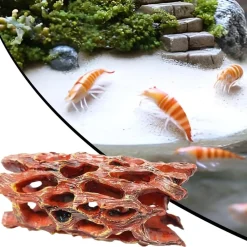 Downypaws - Grotte en mousse aquatique - habitat biofilm pour crevettes Discount