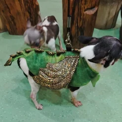 Downypaws - Harnais et laisse - costume de dinosaure, anti - fuite, halloween l Online