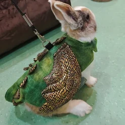 Downypaws - Harnais et laisse - costume de dinosaure, anti - fuite, halloween l Online