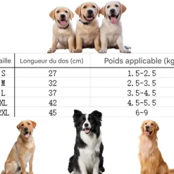 Downypaws Colliers, Laisses Et Vêtements | - Imperméable pour chien- avec sac de rangement-taille l : longueur du dos : 37 cm