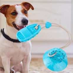 Downypaws - Jouet de chien grincement avec ventouse bleu-chaussons jouets à mâcher Online