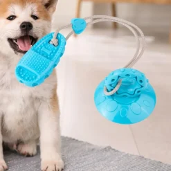 Downypaws - Jouet de chien grincement avec ventouse bleu-chaussons jouets à mâcher Online