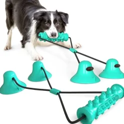 Downypaws - Jouet interactif à mâcher pour chien: balle de broyage des dents avec ventouse, nettoyage des dents Best