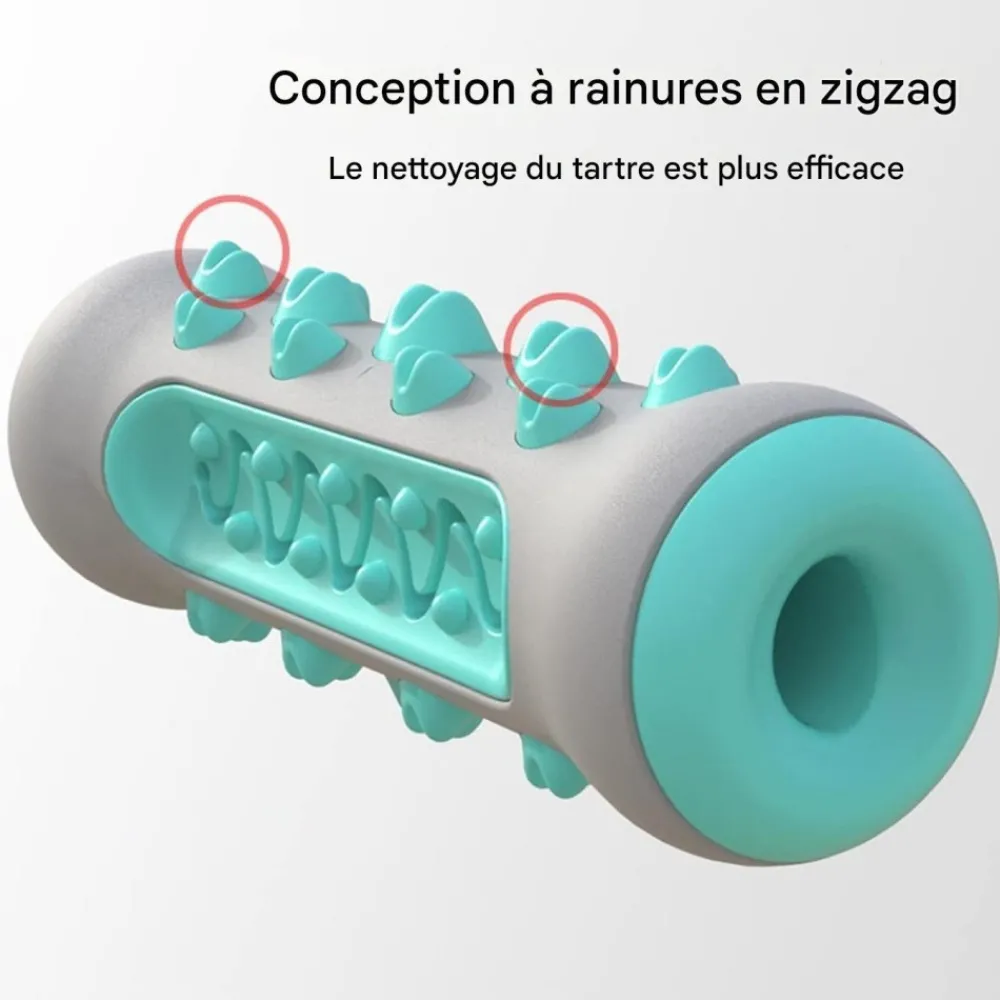 Downypaws - Jouet à mâcherbrosse pour chien Sale