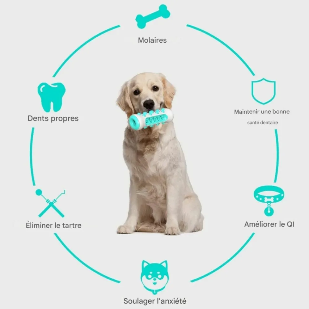 Downypaws - Jouet à mâcherbrosse pour chien Sale