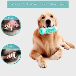 Downypaws - Jouet à mâcherbrosse pour chien Sale