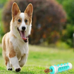 Downypaws - Jouet à mâcherbrosse pour chien Sale