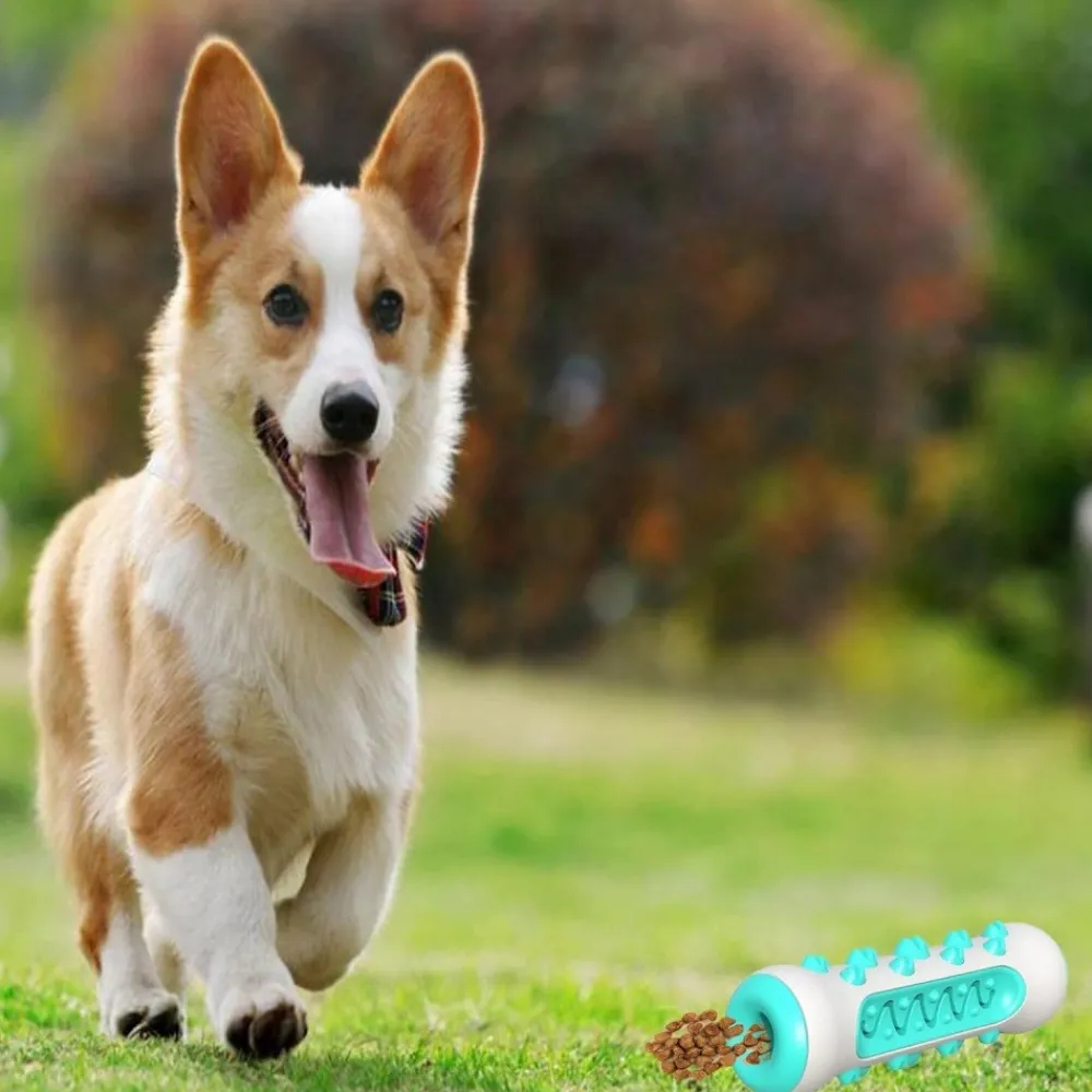 Downypaws - Jouet à mâcherbrosse pour chien Sale